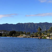 ヤシの木と住宅地の向こうにそびえるハワイの山脈の写真