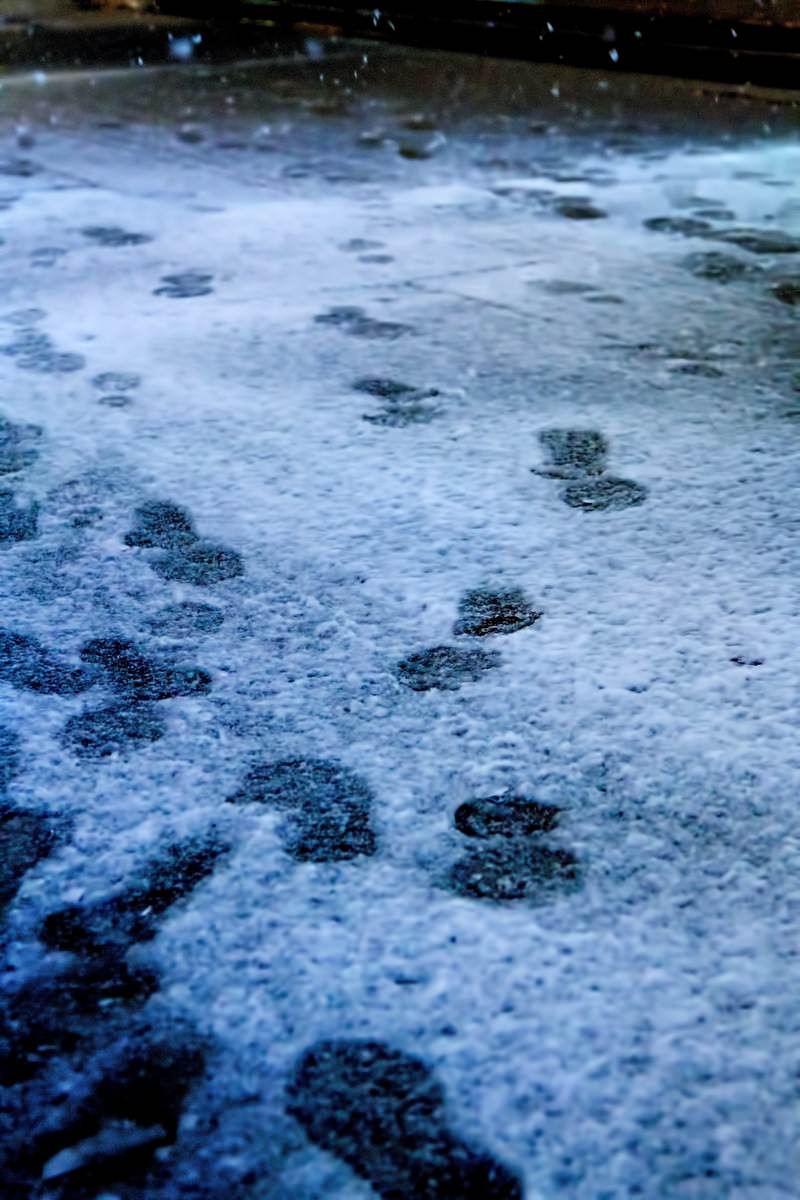 雪の地面に残る靴の足跡