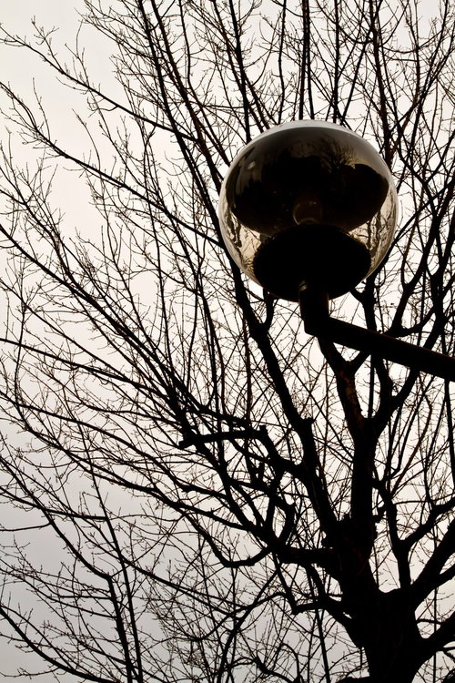 曇り空に浮かぶ冬の裸の街路樹と丸い街灯
