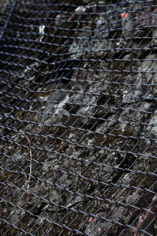 小石と枯れ葉の上に広がる落石防止の金網