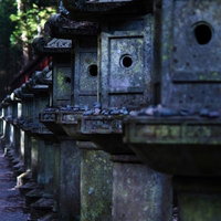 苔が生えた石灯籠が並ぶ東照宮の参道の写真
