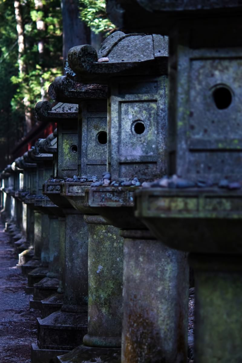 苔が生えた石灯籠が並ぶ神社の参道