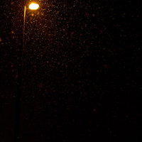 暗い夜空に光る街灯と降りしきる雪の粒の写真