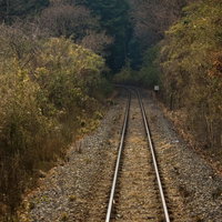 落ち葉が積もる森の中をまっすぐ続く山道の線路の写真