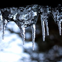 枝から垂れ下がる透明な冬のつららの写真