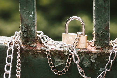 木の板の上に置かれたモナコイン