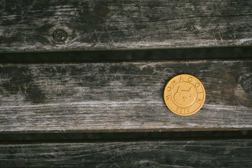 古びた木板に置かれたモナコイン