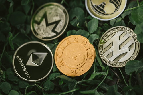 緑の葉の上に置かれた草コイン投資のコイン