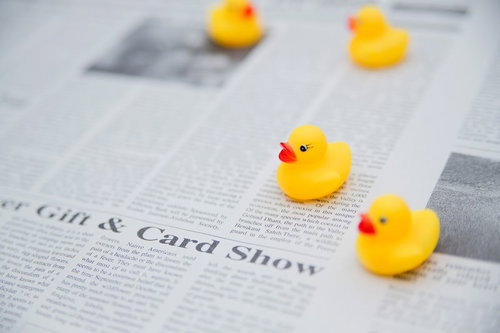 英語が話せないあひるちゃんと英字新聞