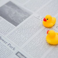 あひるちゃんと英文の新聞紙の写真