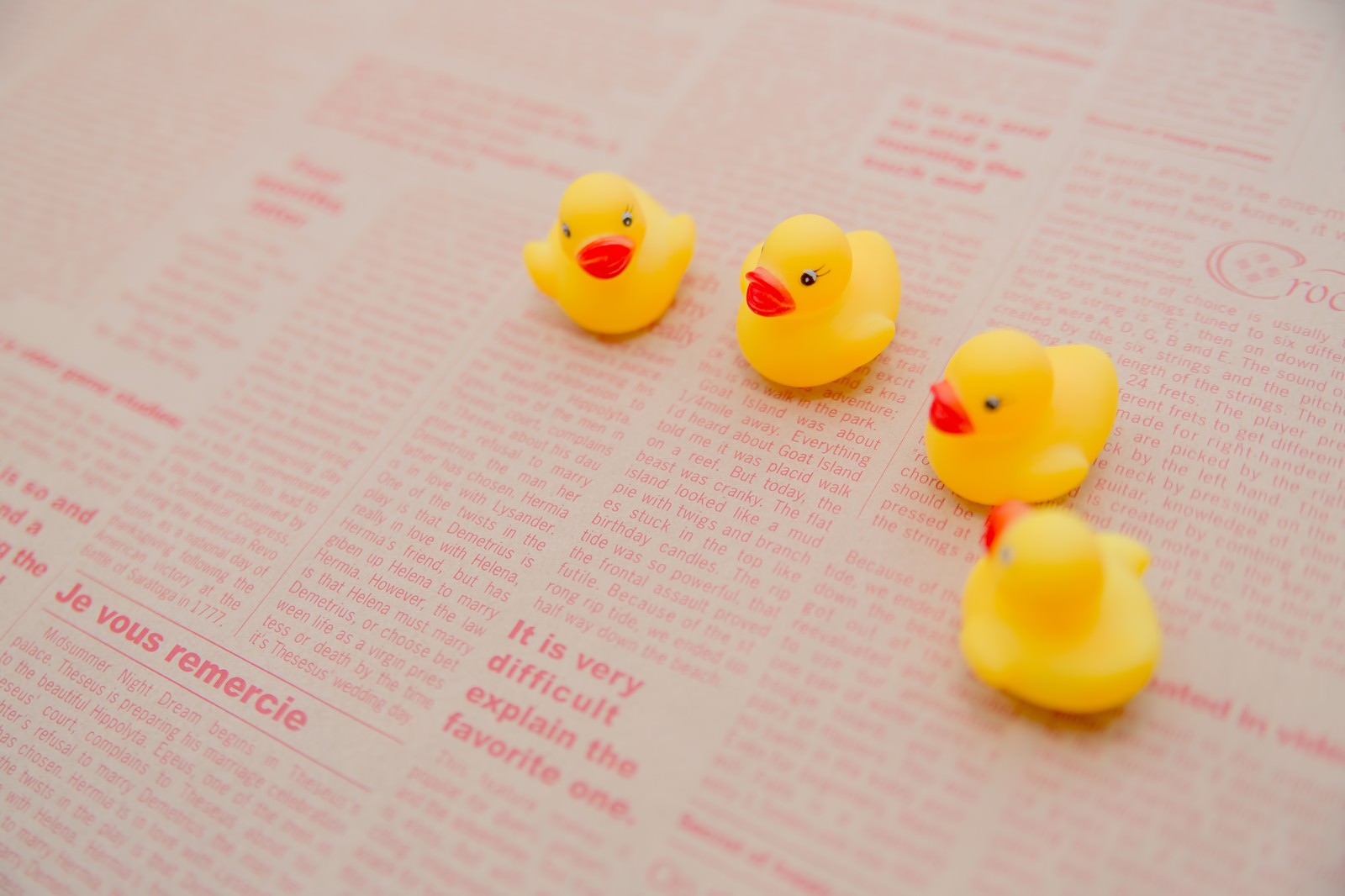 英文の紙の上に斜めに並ぶ4つのアヒルのおもちゃ