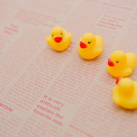 英文の新聞の上に並ぶあひるちゃんの写真