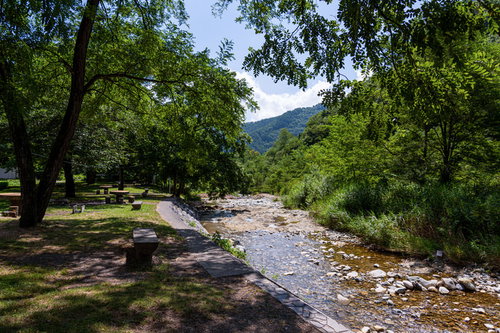清流沿いの公園に設置された木陰のベンチで川の風景を眺める
