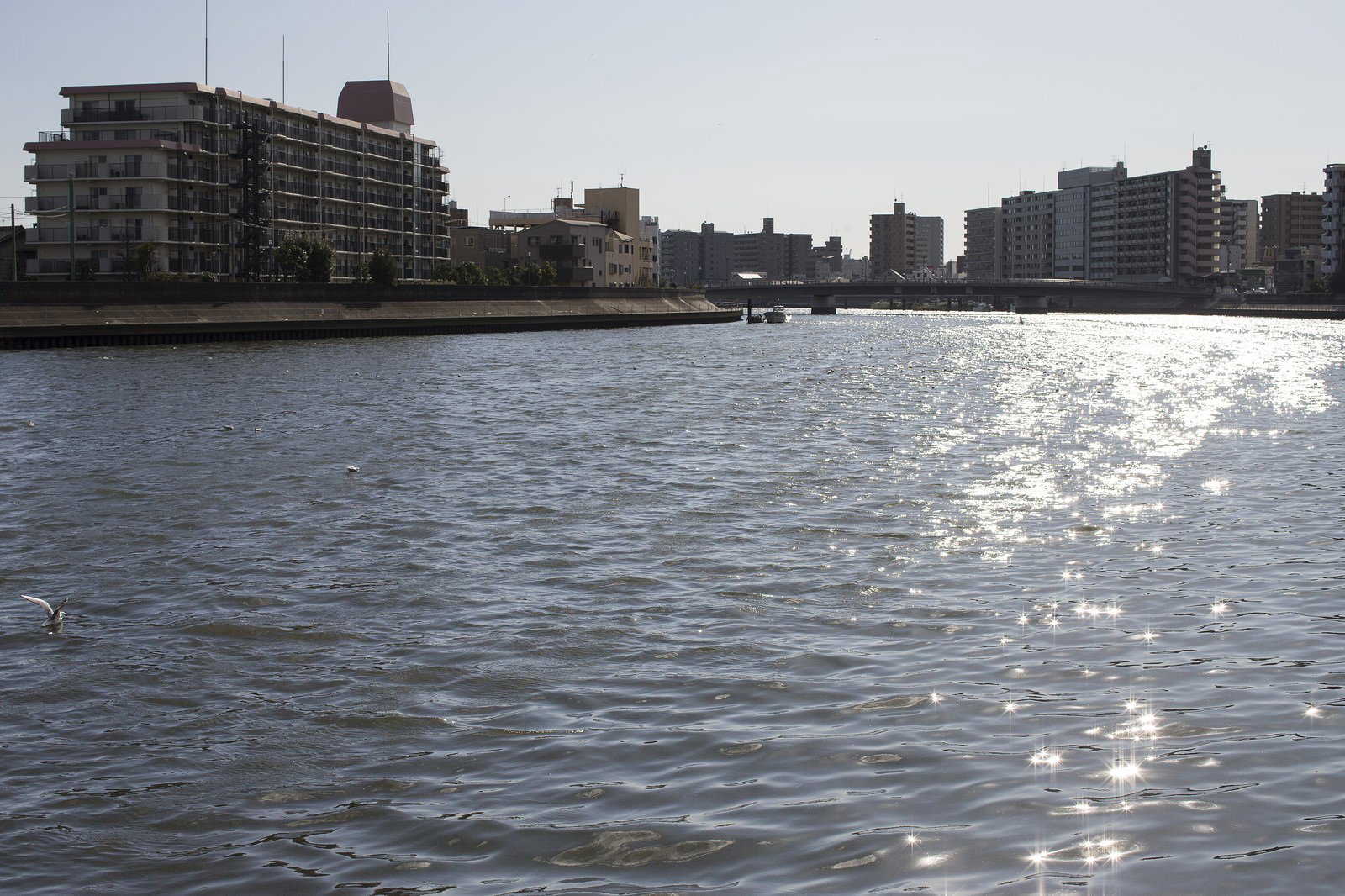 河川沿いに建つマンション群と日光が反射する水面の風景