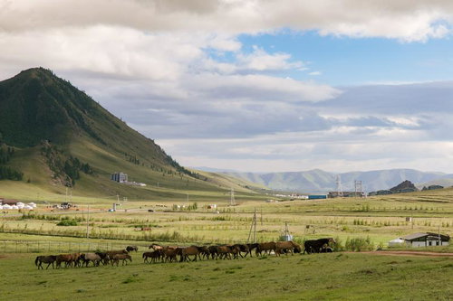 遊牧の風景、モンゴル高原の雄大な自然