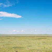 モンゴルの広大な草原を走る貨物列車と雄大な地平線の写真