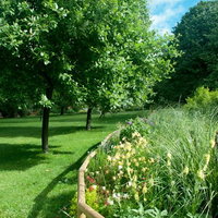 池と緑の芝生が広がるロンドンのハイドパークの写真