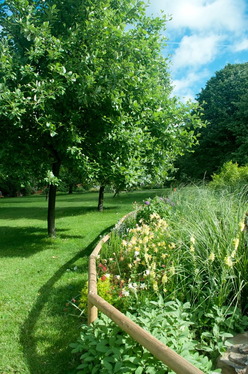 池と緑のロンドン・ハイドパーク