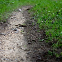 小石が散らばり両脇に草が茂る蛇行する雨水の通り道の写真