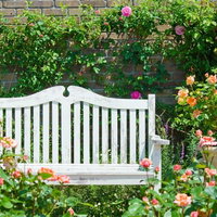 レンガの壁と緑のツタに囲まれたピンクのバラと白いベンチの写真