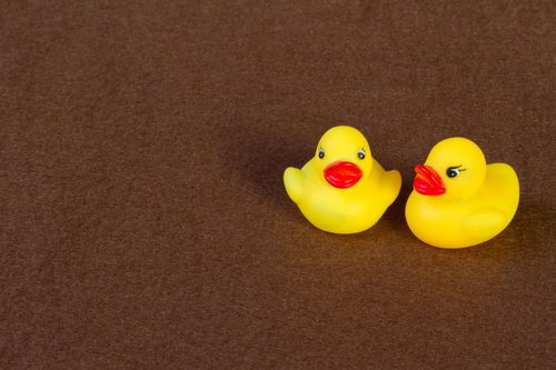 ふたりっきりのあひるちゃん