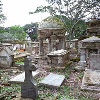 倒れた墓石と雑草が生い茂るジョージタウンの荒れた墓地の写真