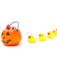 ハロウィンかぼちゃの周りでお菓子をせがむあひるちゃん達の写真