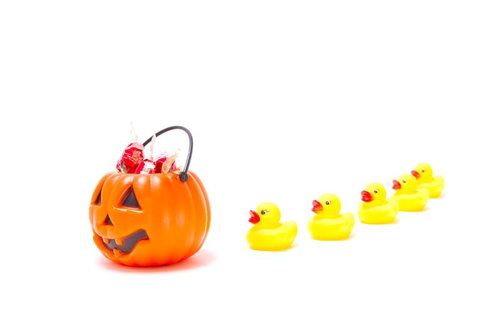 ハロウィンかぼちゃの周りでお菓子をせがむあひるちゃん達