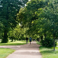 木々に囲まれた舗装の小道を歩く人がいるハイドパークの緑の写真