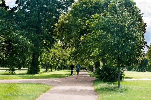 木々に囲まれた舗装の小道を歩く人がいるハイドパークの緑