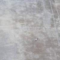 校庭を掃除する子どもたちの俯瞰の写真