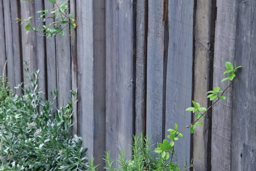 緑の葉が覗く古い木の板壁