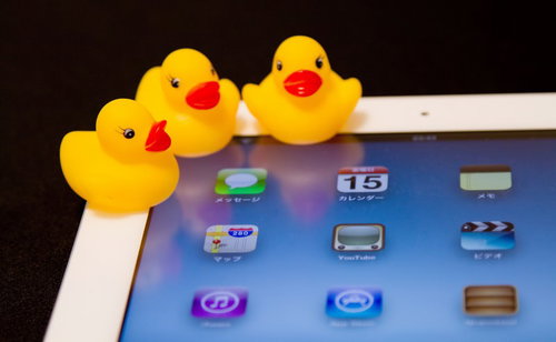 タブレット画面のアイコンをじっと見つめるあひるちゃん
