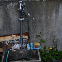 雑草が生える朽ちた水道と流し台の写真