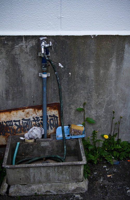 雑草が生える朽ちた水道と流し台
