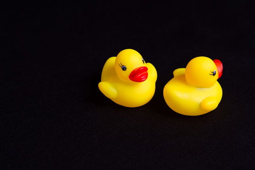 横を向いてそっぽを向くつれない態度のあひるちゃん