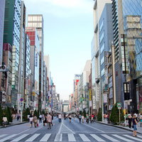 歩行者が道路いっぱいに広がる銀座の歩行者天国の賑わいの写真