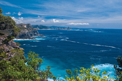 断崖と青い海が広がる石廊崎からの海岸の景観