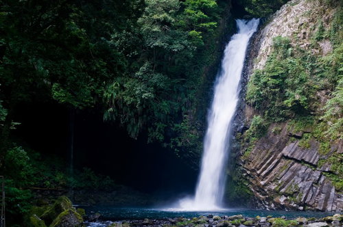 苔むした岩と緑の木々に囲まれた浄蓮の滝と渓谷