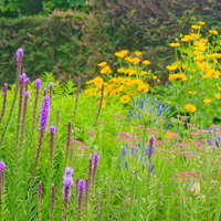 色とりどりの花が咲き乱れる手入れされた庭の風景の写真