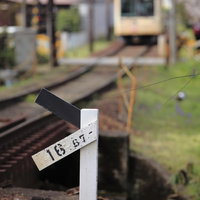 線路脇の標識と遠くに見える電車と桜の写真