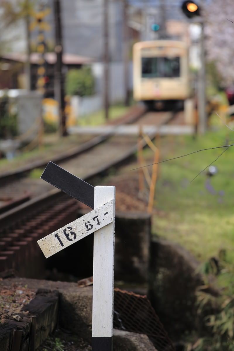 線路脇の標識と遠くに見える電車と桜