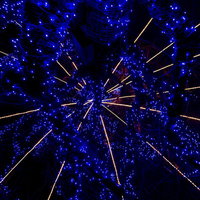 木の枝に巻き付く青く光るイルミネーションの装飾の写真