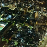 ビルの明かりがグリッド状に並ぶシムシティのような街の夜景の写真