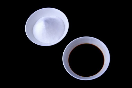 白い皿の上に並べて置かれた塩と醤油の小皿