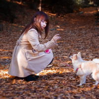 落ち葉が広がる公園で犬と散歩するコートの女の子の写真