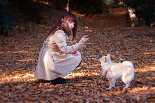 落ち葉が広がる公園で犬と散歩するコートの女の子
