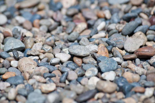 色が混ざる河川の丸い小石