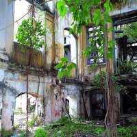 壁が崩れ天井が落ちたジョージタウンの廃墟の建物内部の写真