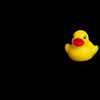 暗闇の中でぽつんと1羽だけ浮かぶ黄色いあひるちゃんの写真